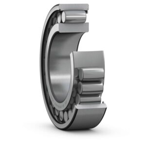 Toroidal roller bearing