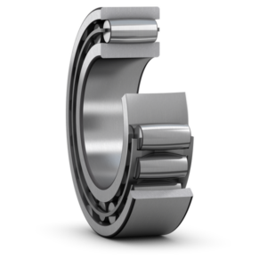 Toroidal roller bearing