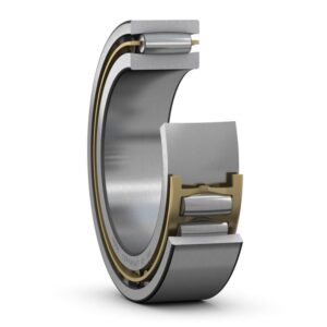 Toroidal roller bearing